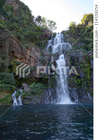 Waterfall at the Bassin des Aigrettes in Reunion island 114339254