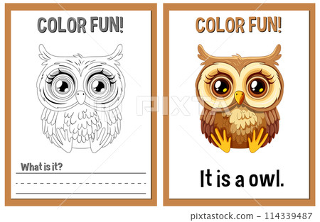Color Fun Owl Illustration Activity 114339487