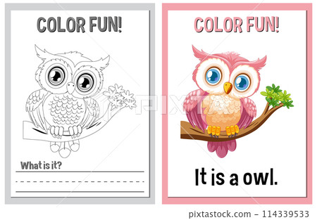 Color Fun Owl Illustration Activity Color Fun Owl Illustration Activity 114339533