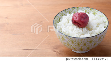 傳統酸梅飯 114339572