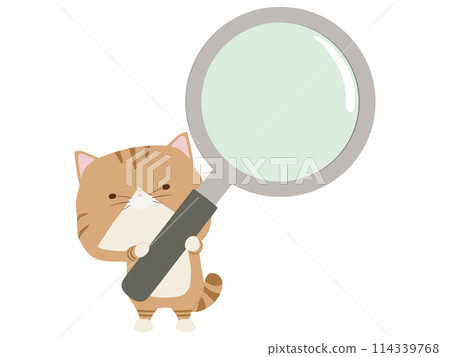 Brown tabby cat holding a magnifying glass Brown tabby cat holding a magnifying glass 114339768