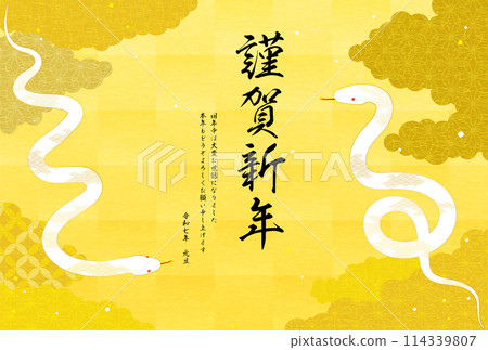 2025 Year of the Snake New Year's card, New Year's card material with two white snakes and a Japanese pattern of sea of clouds 2025 Year of the Snake New Year's card, New Year's card material with two white snakes and a Japanese pattern of sea of clouds 114339807