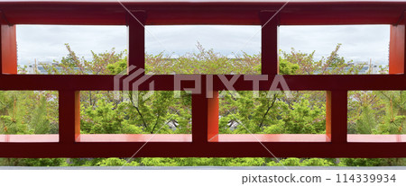 透過紅色木格子看到初夏的樹木 透過紅色木格子看到初夏的樹木 114339934