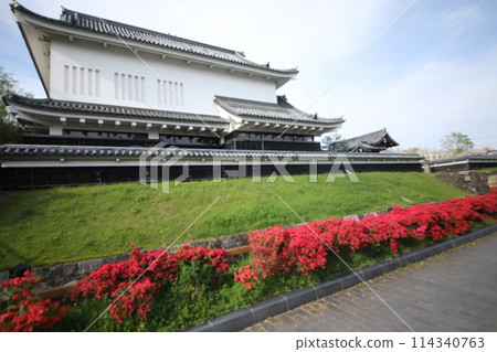 Spring at Shoryuji Castle Spring at Shoryuji Castle 114340763