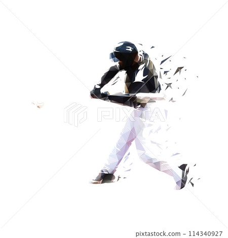 Baseball player, batter, low poly isolated vector illustration. Team sport athlete 114340927