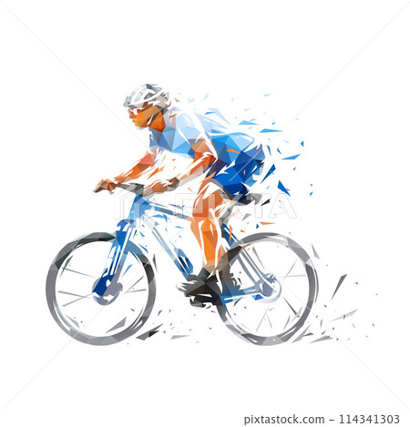 Mountain bike racing, man riding mountain bike, low poly isolated vector illustration.  114341303