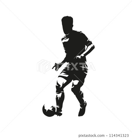 Soccer player kicking ball, football, isolated vector silhouette Soccer player kicking ball, football, isolated vector silhouette 114341323
