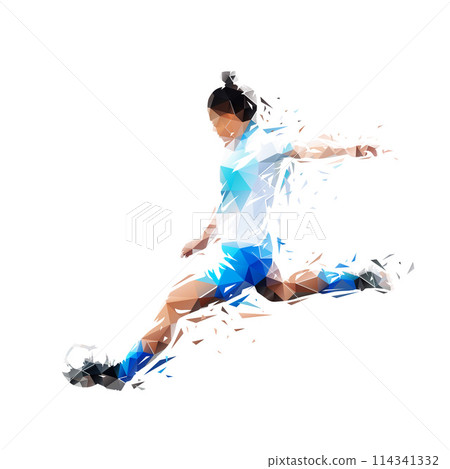 Soccer, woman playing football, geometric drawing of female soccer player kicking ball, 114341332