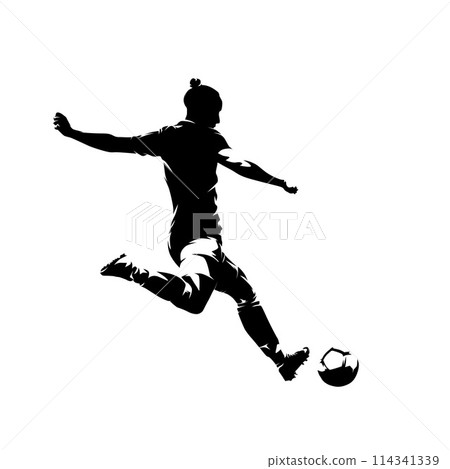Soccer, woman playing football, female soccer player kicking ball, isolated vector silhouette Soccer, woman playing football, female soccer player kicking ball, isolated vector silhouette 114341339