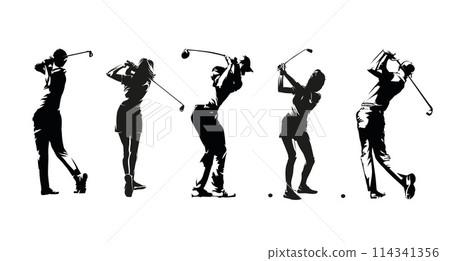 Golf, group of men and women playing golf, set of isolated vector silhouettes Golf, group of men and women playing golf, set of isolated vector silhouettes 114341356