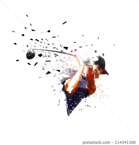 Golf player, isolated low poly vector illustration with shatter effect 114341380