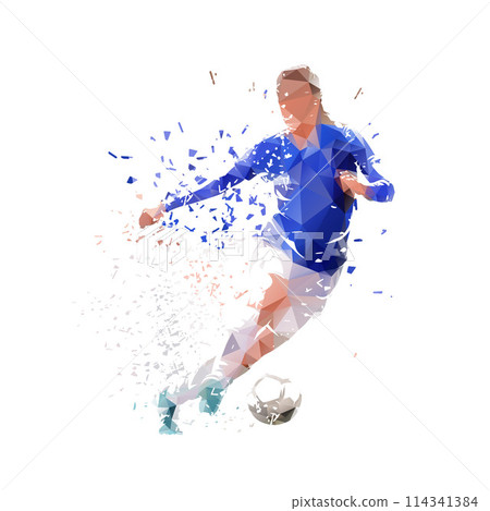 Woman playing soccer, football, olated low poly vector illustration with shatter effect, front view Woman playing soccer, football, olated low poly vector illustration with shatter effect, front view 114341384