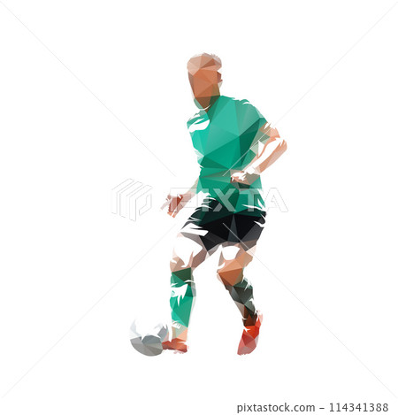 Soccer player kicking ball, football, isolated low poly vector illustration 114341388
