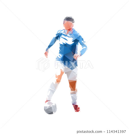 Woman soccer player. Geometric isolated vector illustration. Female playing football, front view 114341397
