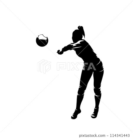 Women playing volleyball, isolated vector silhouette, female volleyball player 114341443