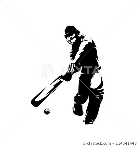 Cricket player, batsman, in action, isolated vector silhouette, front view Cricket player, batsman, in action, isolated vector silhouette, front view 114341448