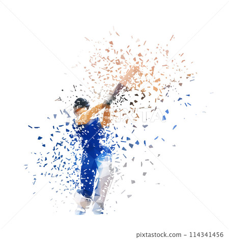Cricket player, batsman cricketer, isolated low poly vector illustration with shatter effect 114341456