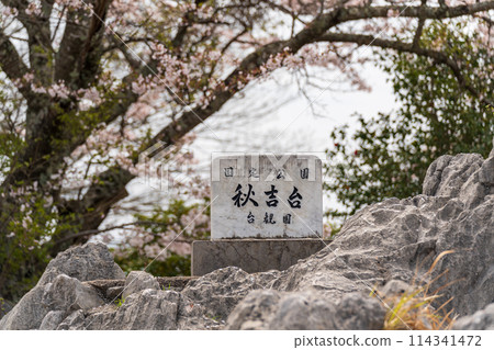 Akiyoshidai National Monument 114341472