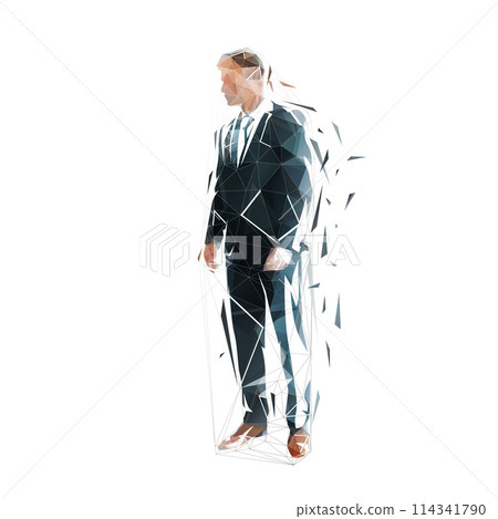 Businessman standing, isolated vector illustration, low poly geometric drawing. Man in suit 114341790