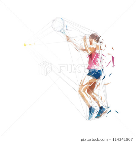 Tennis player silhouette, woman playing tennis, low poly isolated vector illustration, side view Tennis player silhouette, woman playing tennis, low poly isolated vector illustration, side view 114341807