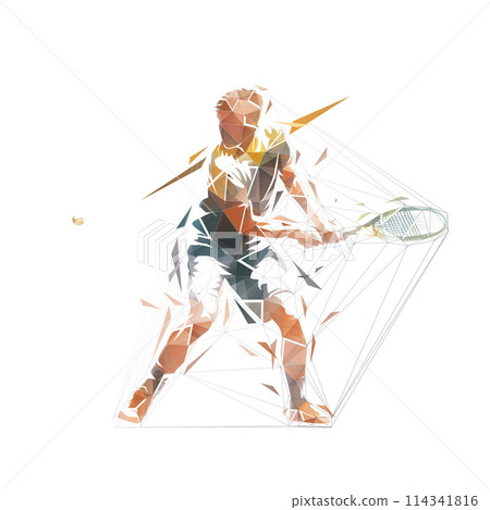 Tennis player backand shot, isolated low poly vector illustration. Tennis logo Tennis player backand shot, isolated low poly vector illustration. Tennis logo 114341816