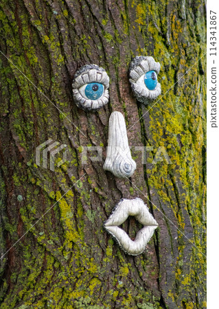 Funny Face on the trunk of a tree  114341867