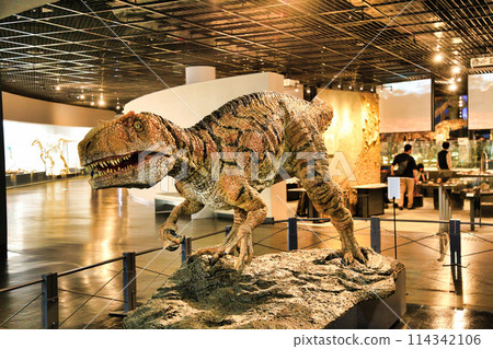 Fukui Prefectural Dinosaur Museum (Fukui Prefecture) 114342106