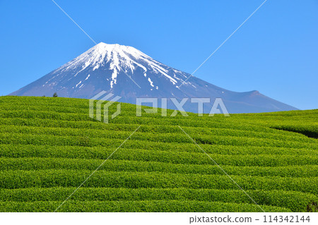 Obuchi Sasaba Obuchi Sasaba 114342144