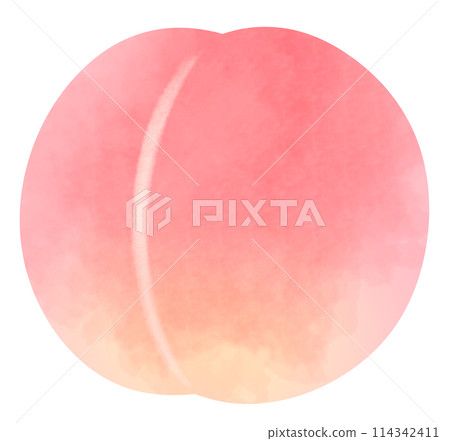 又大又好吃的桃子的插圖 114342411