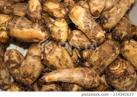 A picture of taro root with selective focus A picture of taro root with selective focus 114342637