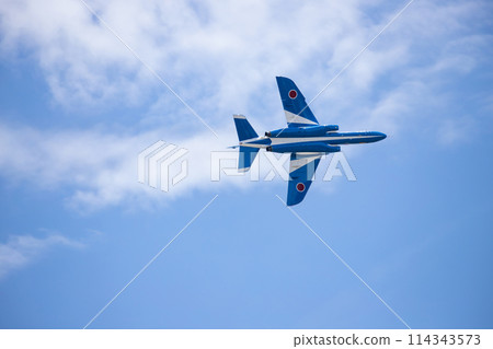 藍色脈衝在天空中飛翔 114343573