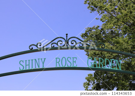 Ashikaga Flower Park Rose Garden 114343653