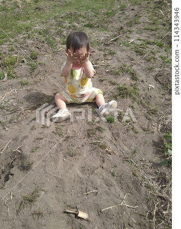 Baby playing in the field Baby playing in the field 114343946