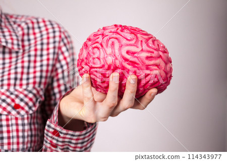 Woman hand holding human brain Woman hand holding human brain 114343977