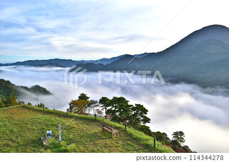 島根津和野 津和野城遺址 雲海 114344278