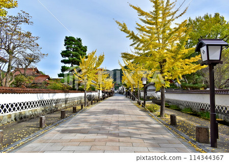 Tsuwano Tonomachi Street Shimane Tsuwano Tonomachi Street Shimane 114344367