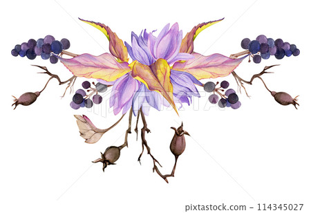 Hand drawn watercolor illustration shabby boho botanical flowers leaves. Crocus saffron black berry autumn rose hip. Composition isolated on white background. Design wedding, floral shop, gift cards 114345027