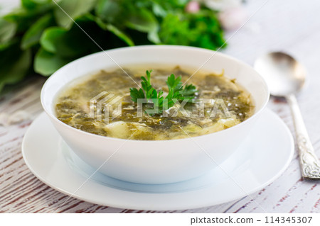 cooked green borscht from sorrel in a plate cooked green borscht from sorrel in a plate 114345307