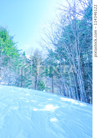 A course through the forest under the blue sky, a slope on a sunny day 114346122
