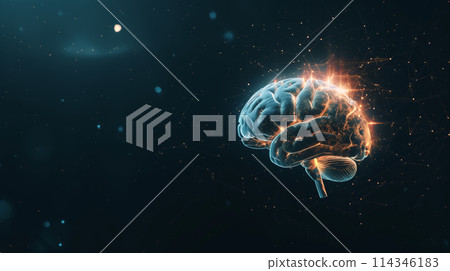 Computer Generated Human Brain Model 114346183