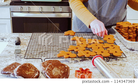 After baking to perfection, these delightful gingerbread cookies are now cooling gracefully on a wire rack, filling the modern kitchen with a warm and inviting aroma. After baking to perfection, these delightful gingerbread cookies are now cooling gracefully on a wire rack, filling the modern kitchen with a warm and inviting aroma. 114347369