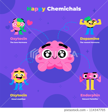 Cartoon hormones infographics in flat design 114347705