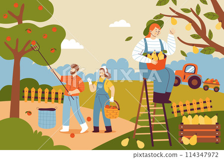 Hand drawn flat fruit harvest composition background with people collecting fruits from trees 114347972