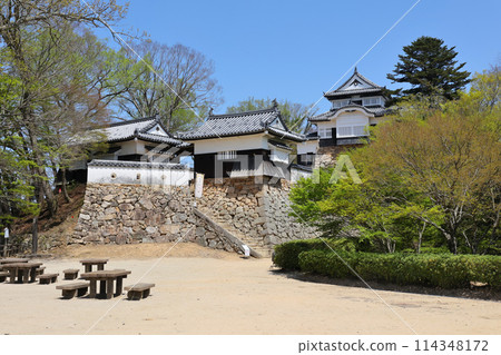 Binaka Matsuyama Castle Tenshi 114348172
