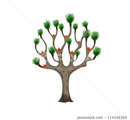 Cartoon jungle rainforest tree. Isolated vector exotic plant with vibrant green foliage, textured branchy trunk and strange outgrowths. Prehistoric ancient lush landscape vegetation, biodiversity Cartoon jungle rainforest tree. Isolated vector exotic plant with vibrant green foliage, textured branchy trunk and strange outgrowths. Prehistoric ancient lush landscape vegetation, biodiversity 114348369