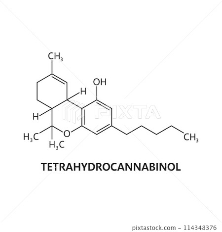 Synthetic drug structure, organic Tetrahydrocannabinol molecule formula. THC substance chemical formula, illegal narcotic biomolecule compound or synthetic drug vector atomic composition Synthetic drug structure, organic Tetrahydrocannabinol molecule formula. THC substance chemical formula, illegal narcotic biomolecule compound or synthetic drug vector atomic composition 114348376