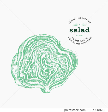 Vintage Style Lettuce Illustration. Green Iceberg Vegetable Illustration. Vector Hand Drawn Salad. 114348610