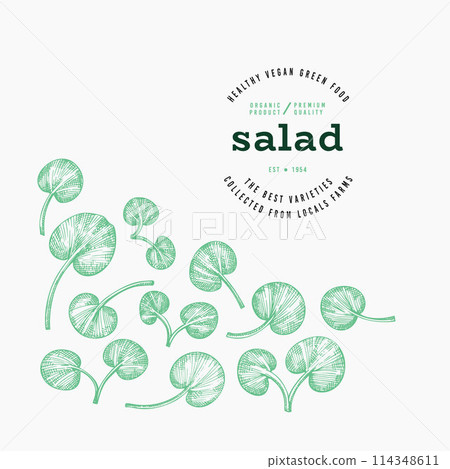 Vintage Style Watercress Illustration. Green Vegetable Illustration. Vector Hand Drawn Salad. Vintage Style Watercress Illustration. Green Vegetable Illustration. Vector Hand Drawn Salad. 114348611