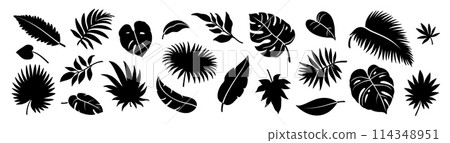 Silhouette jungle leaf. Abstract black palm tropical rainforest leaves. Decorative plants. Graphic foliage silhouettes and elements for design isolated on white background. Vector set Silhouette jungle leaf. Abstract black palm tropical rainforest leaves. Decorative plants. Graphic foliage silhouettes and elements for design isolated on white background. Vector set 114348951