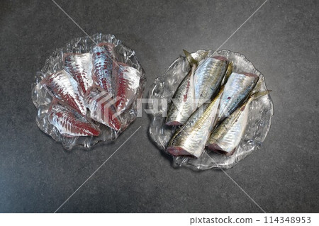 五月河碼頭釣竹莢魚 五月河碼頭釣竹莢魚 114348953